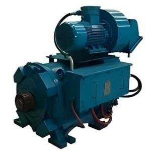RM Series Rig Motor